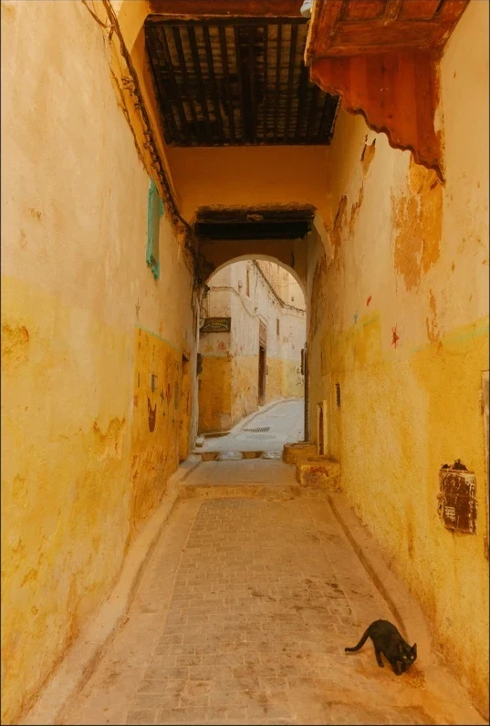 Photograph 4 from Mico Studios portfolio spread 10